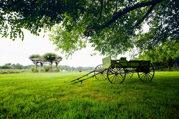 Green field with cart and gazebo