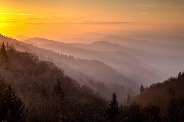 Foggy morning in the mountain forests