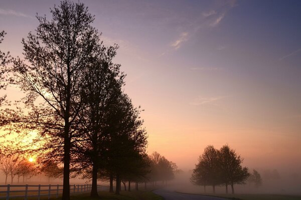 Morgennebel auf der Straße