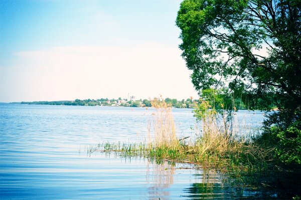 Ampio fiume Volga in estate