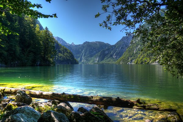 La bellezza indimenticabile del fiume in Baviera