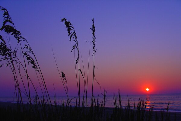 Delizioso tramonto sul mare