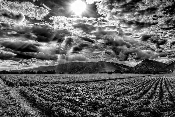 Rayons du soleil à travers les Cumulus