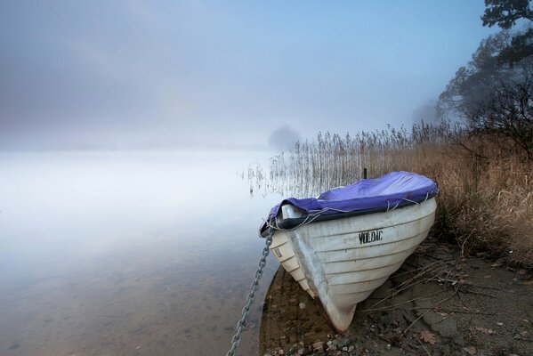 Niebla de la mañana sobre el agua