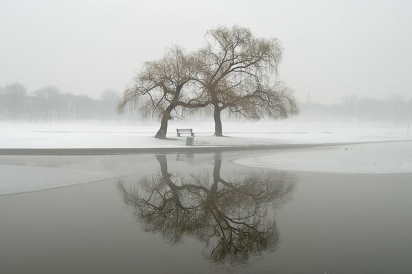 Winter Park Fog landscape