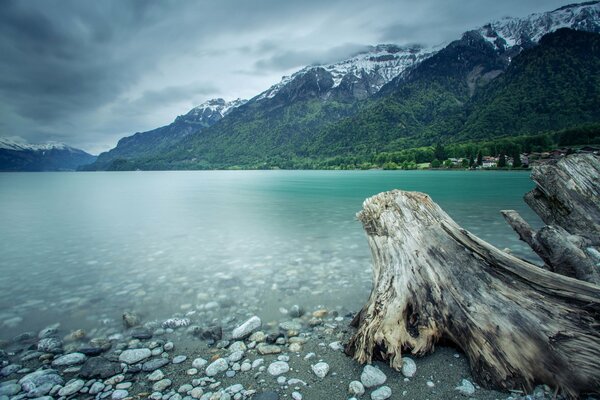 Montagnes De Suisse. Lac et forêt