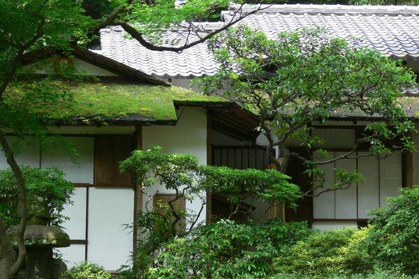 Auf dem Dach eines Hauses in Asien wachsen schönes Moos und Schindeln