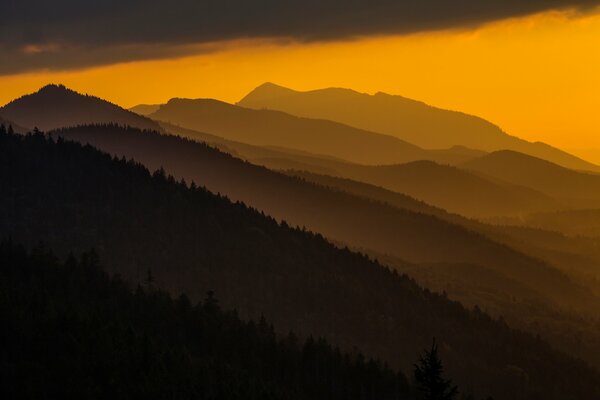 Montagnes des Carpates pendant le coucher du soleil