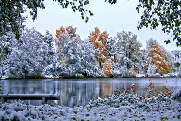 Fiume nella foresta invernale innevata