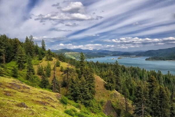 Foresta di abeti rossi sullo sfondo del Lago