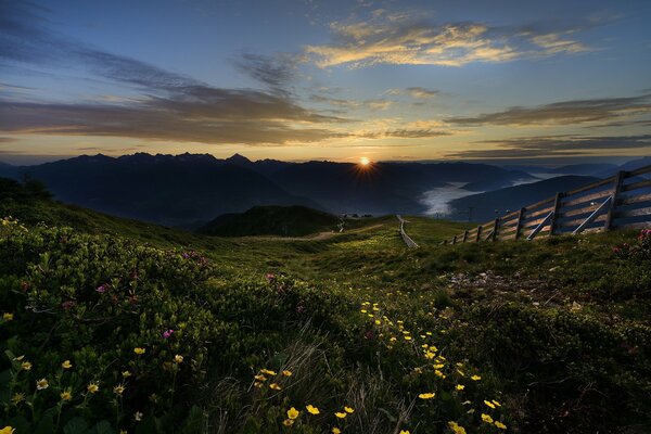 Amanecer tranquilo en una zona montañosa con flores