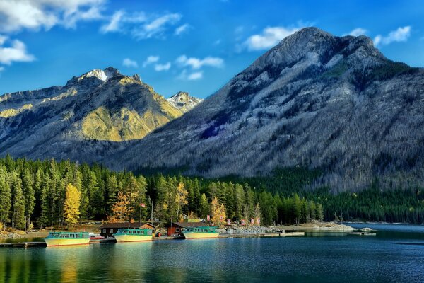 Berge und Wald in einem Nationalpark in Kanada