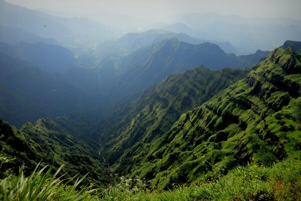 Belle gorge de montagne dans le brouillard