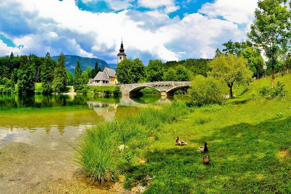 Camino a la iglesia Eslovenia verano