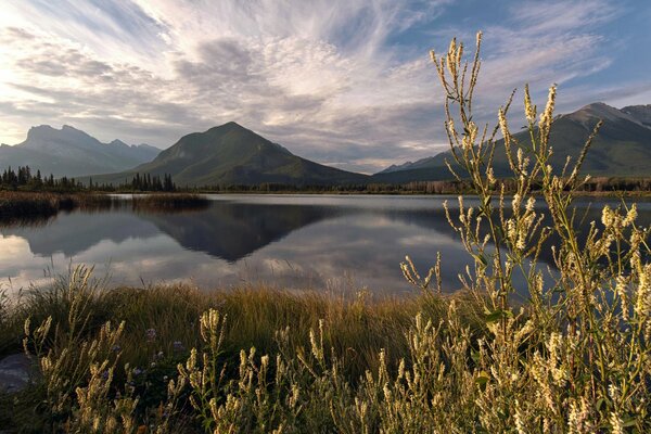 Reflection of mountains in the water in summer