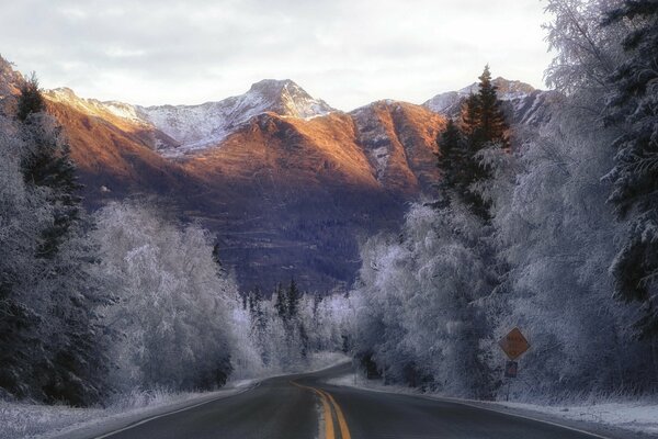 Winter road along snow-covered trees