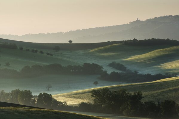 Natura. Colline, alberi, prati