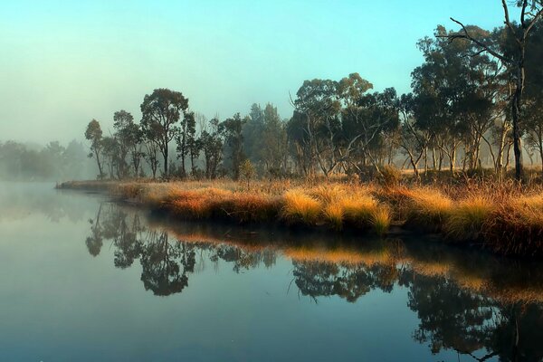 African landscape with trees and river