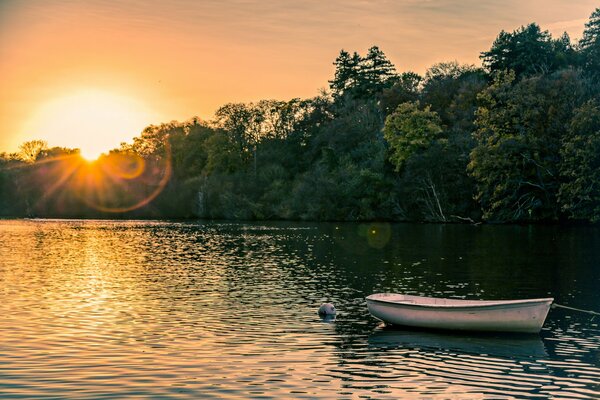 Ein einsames Boot mitten im Teich