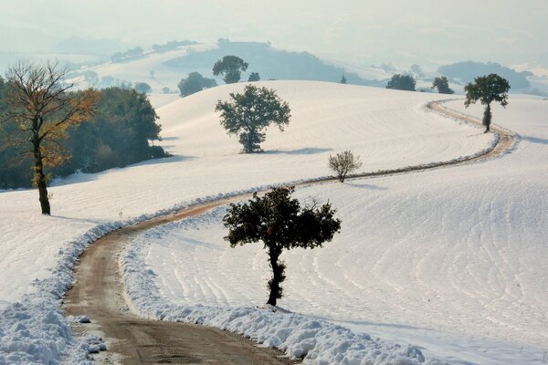 Zimowa zaśnieżona droga i wzdłuż drzewa