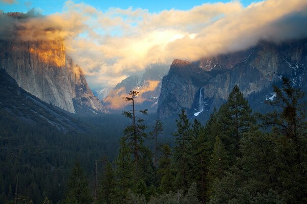 Montagna. Foresta. Cielo. Cascate