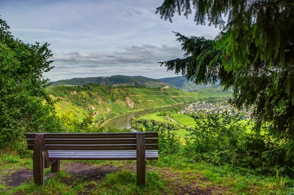 Schöne Aussicht auf eine Bank im Wald