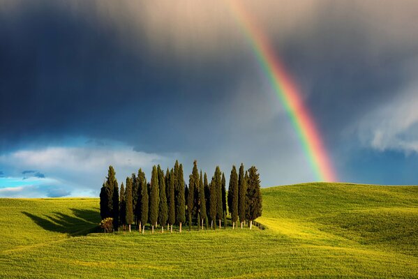 Vista de una colina de Cipreses en Italia con un arco iris