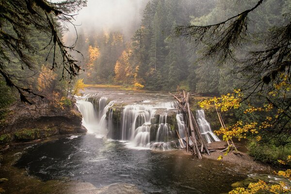 Wasserfall in einem wunderschönen Waldort