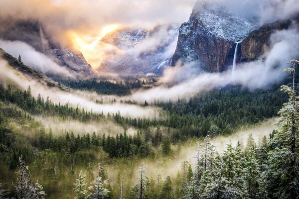 Brume matinale dans la forêt au pied des montagnes