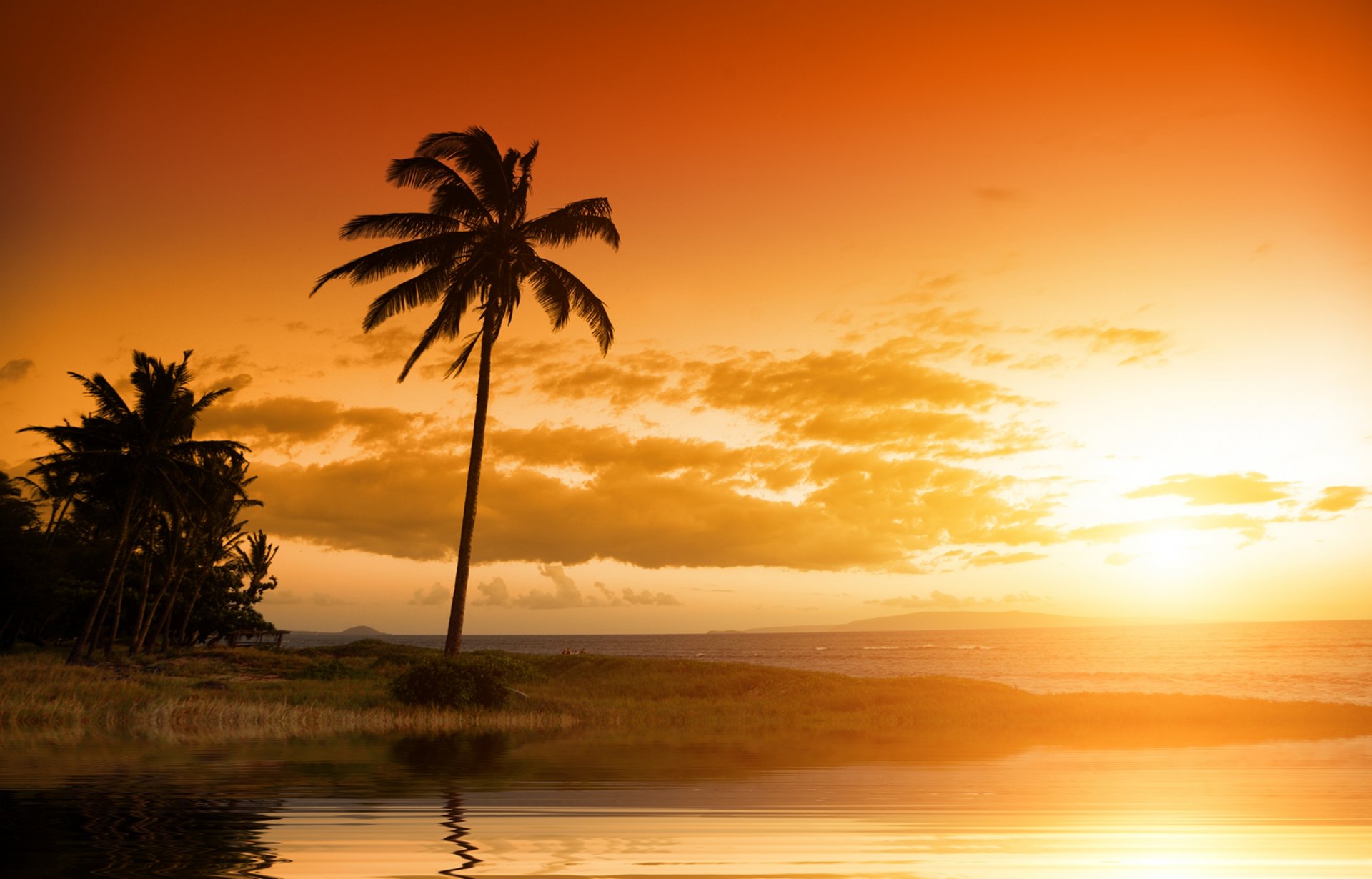 paysage coucher de soleil nature paysage ciel nuages tropical palmier océan hawaii belle paysage coucher de soleil palmiers tropicaux