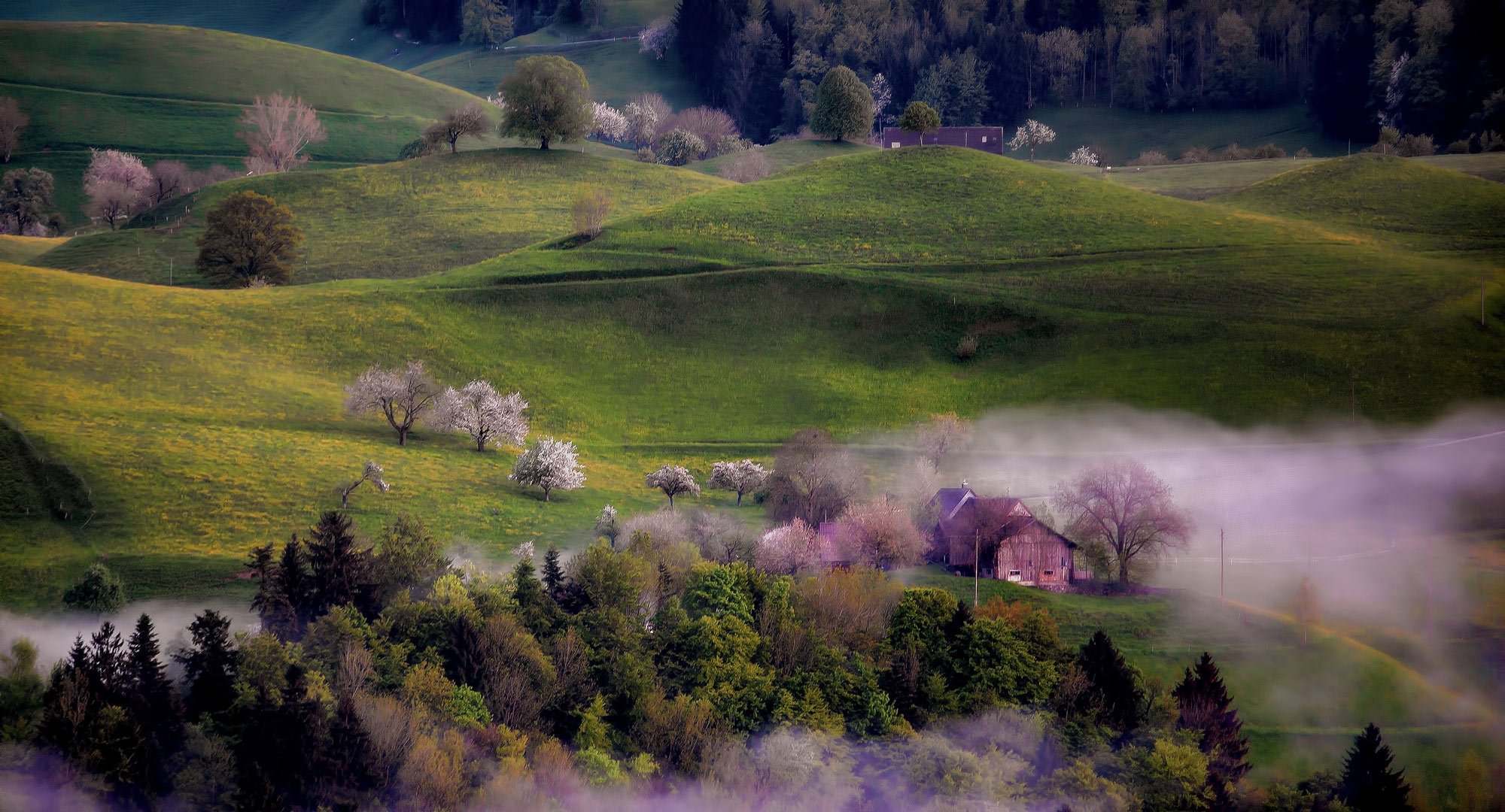 printemps collines arbres maisons brouillard