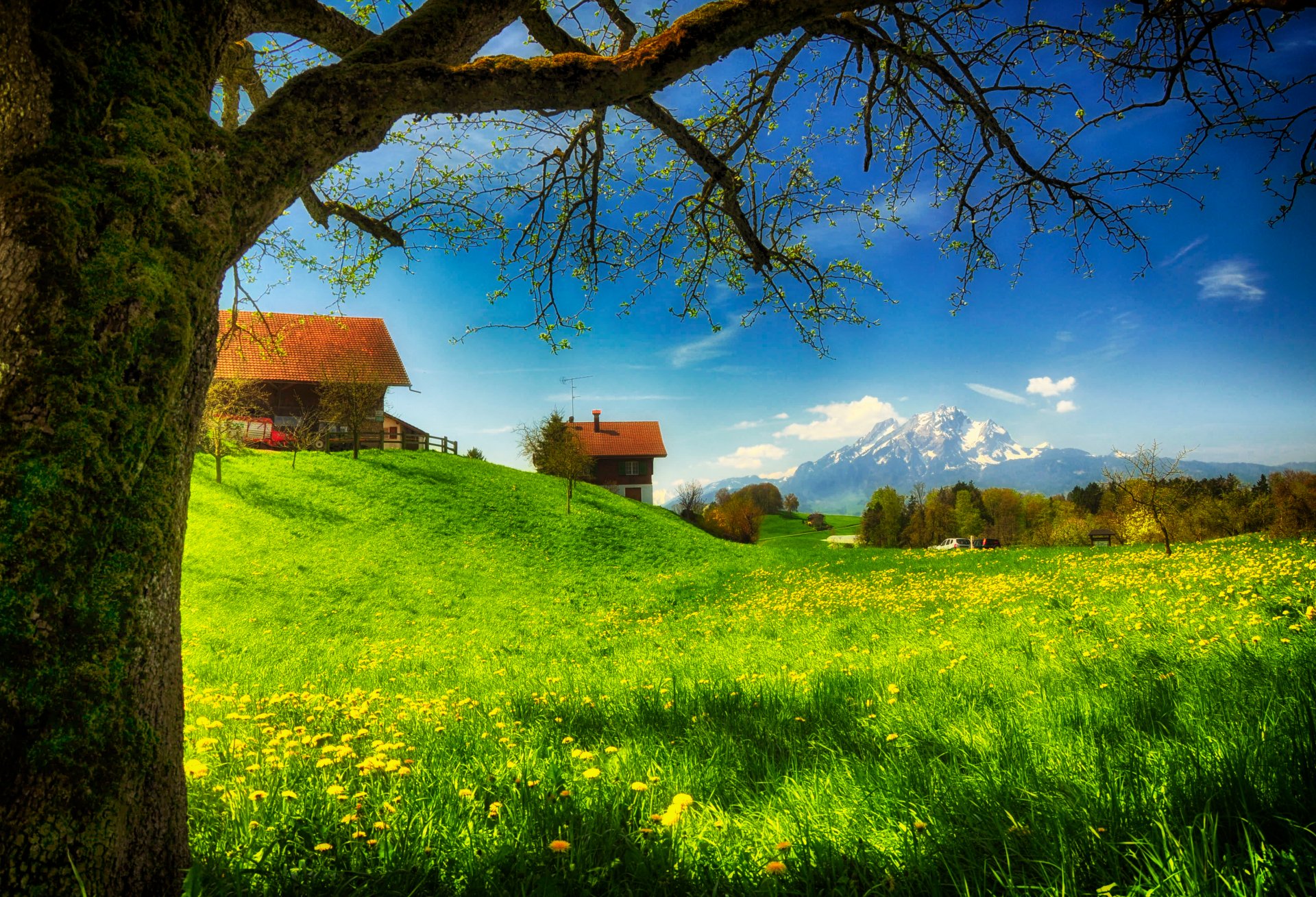 frühling grün häuser häuser gras berge moos blumen lichtung sonnig