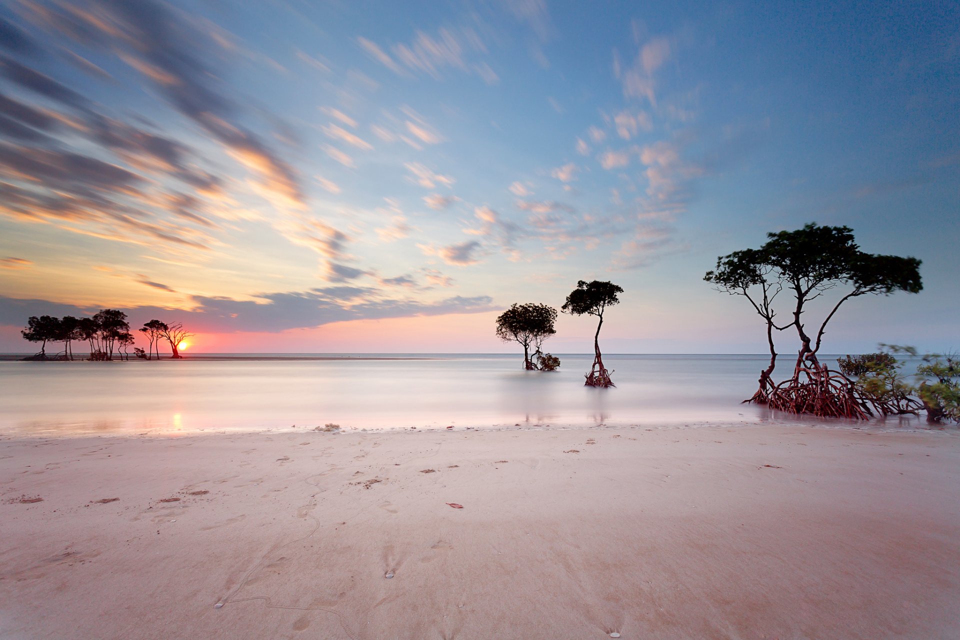 meer küste strand sand spuren horizont sonnenuntergang himmel abstufung sonne wolken bäume wurzeln hintergrundbilder