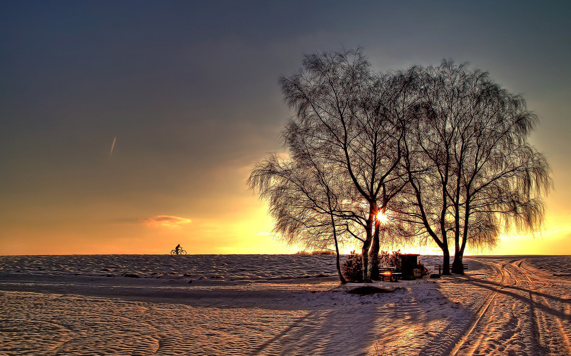 winter snow road tree sun rays horizon cyclist