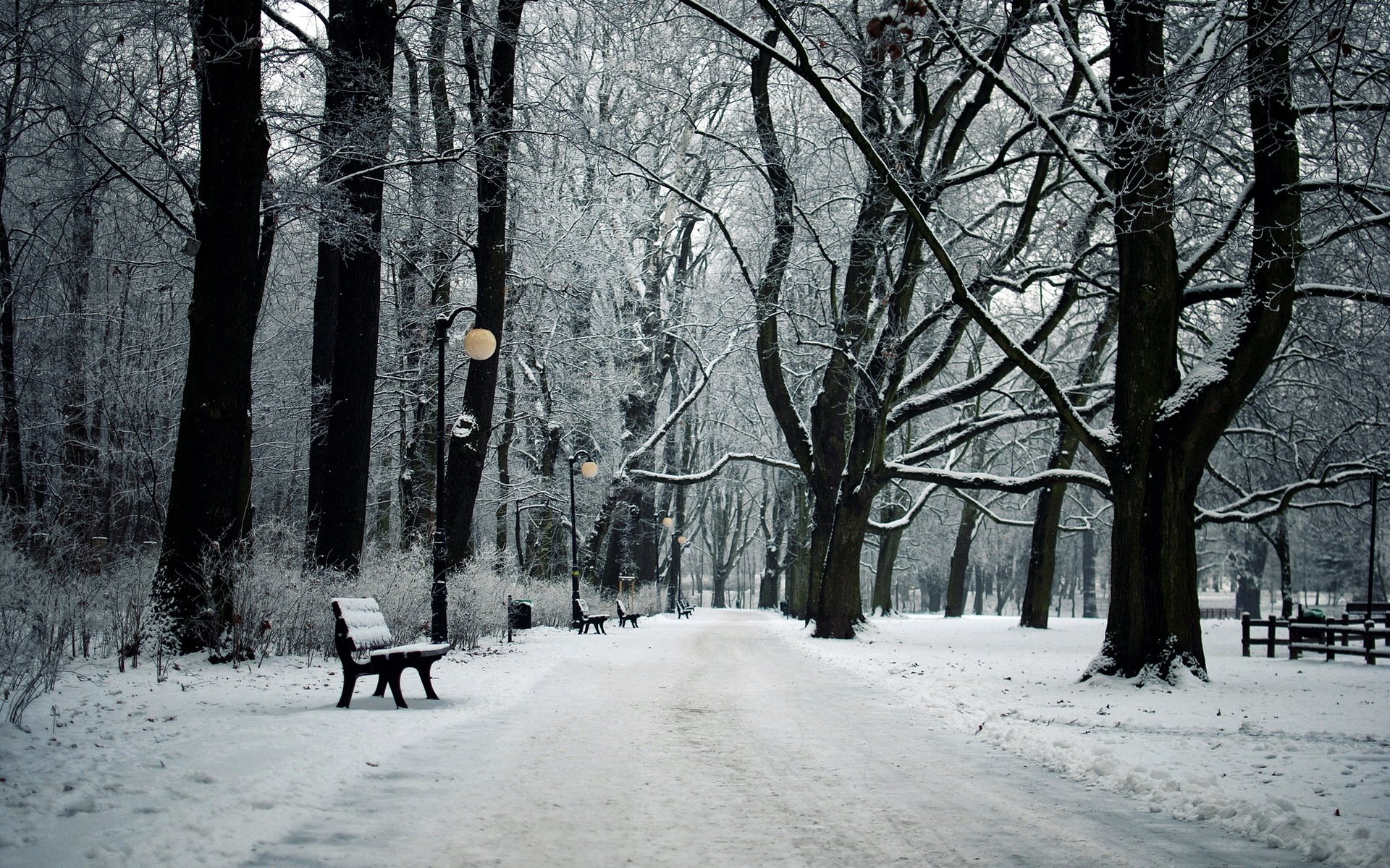 parc hiver paysage