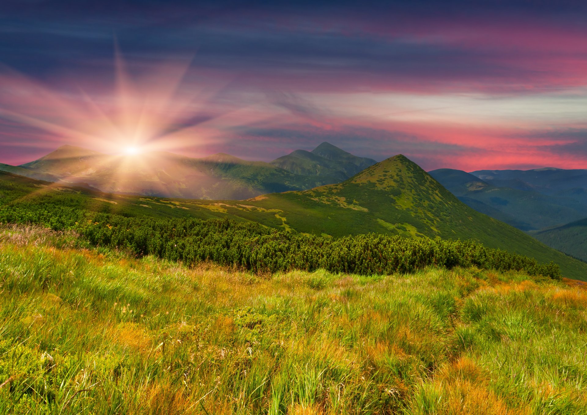 feld berge hang gras bäume grün abend sonnenuntergang sonne natur