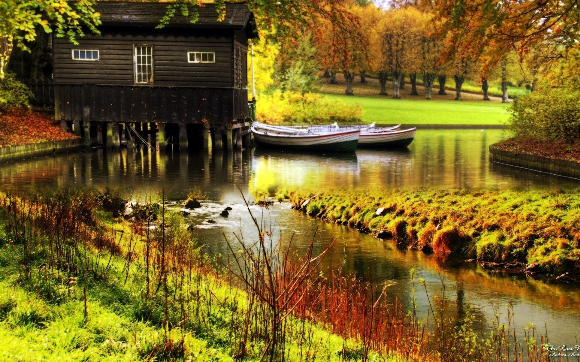 forest autumn river house tree nature photo