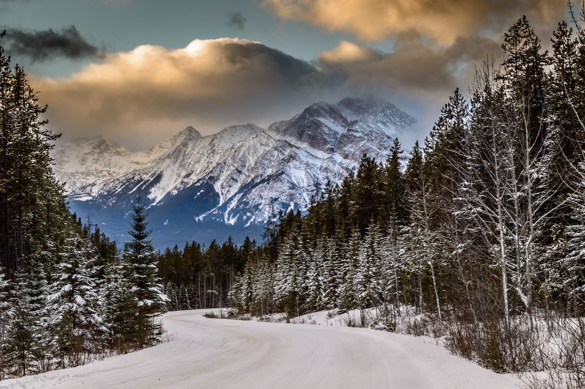 mountain forest road snow winter