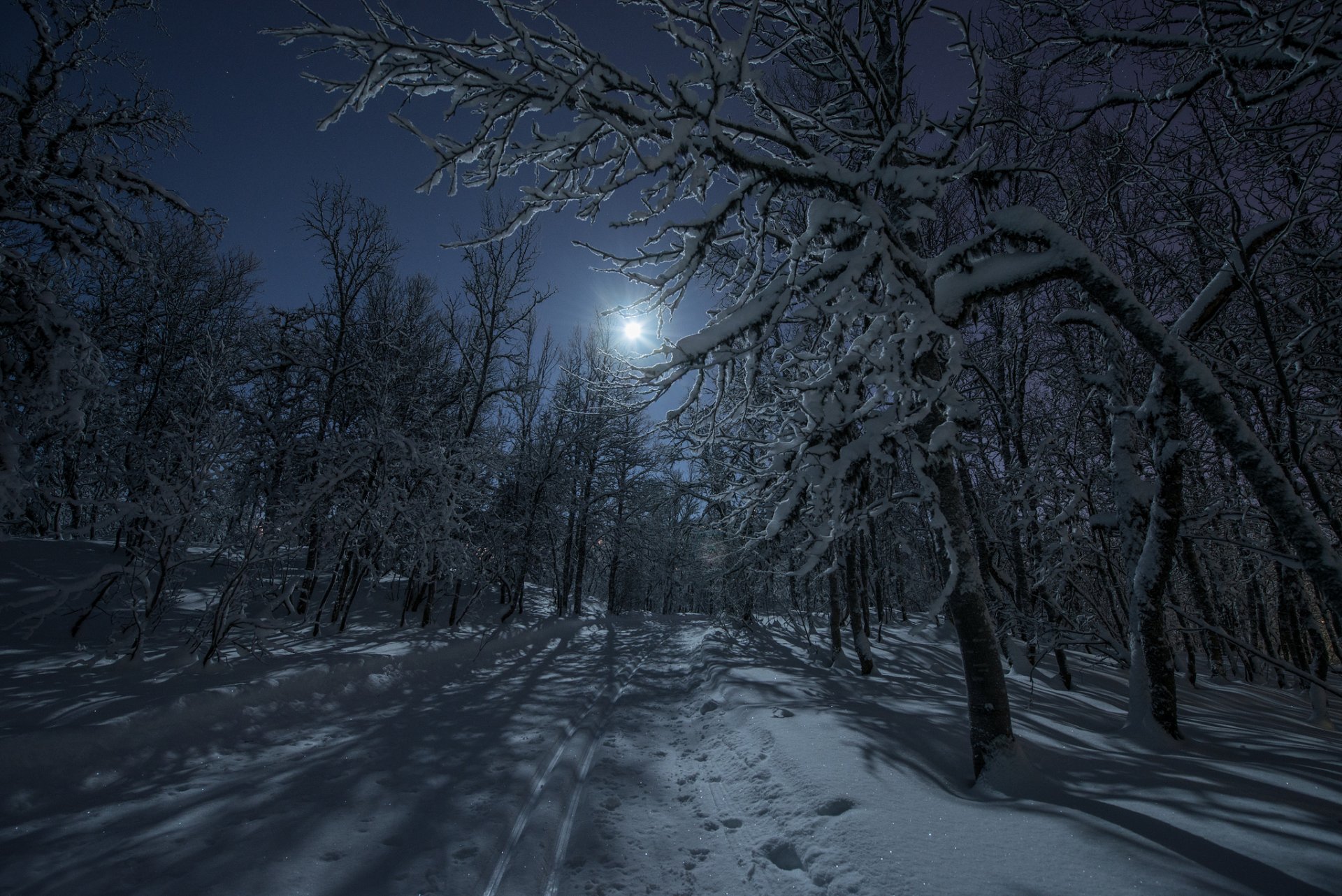 zima las śnieg droga noc księżyc światło