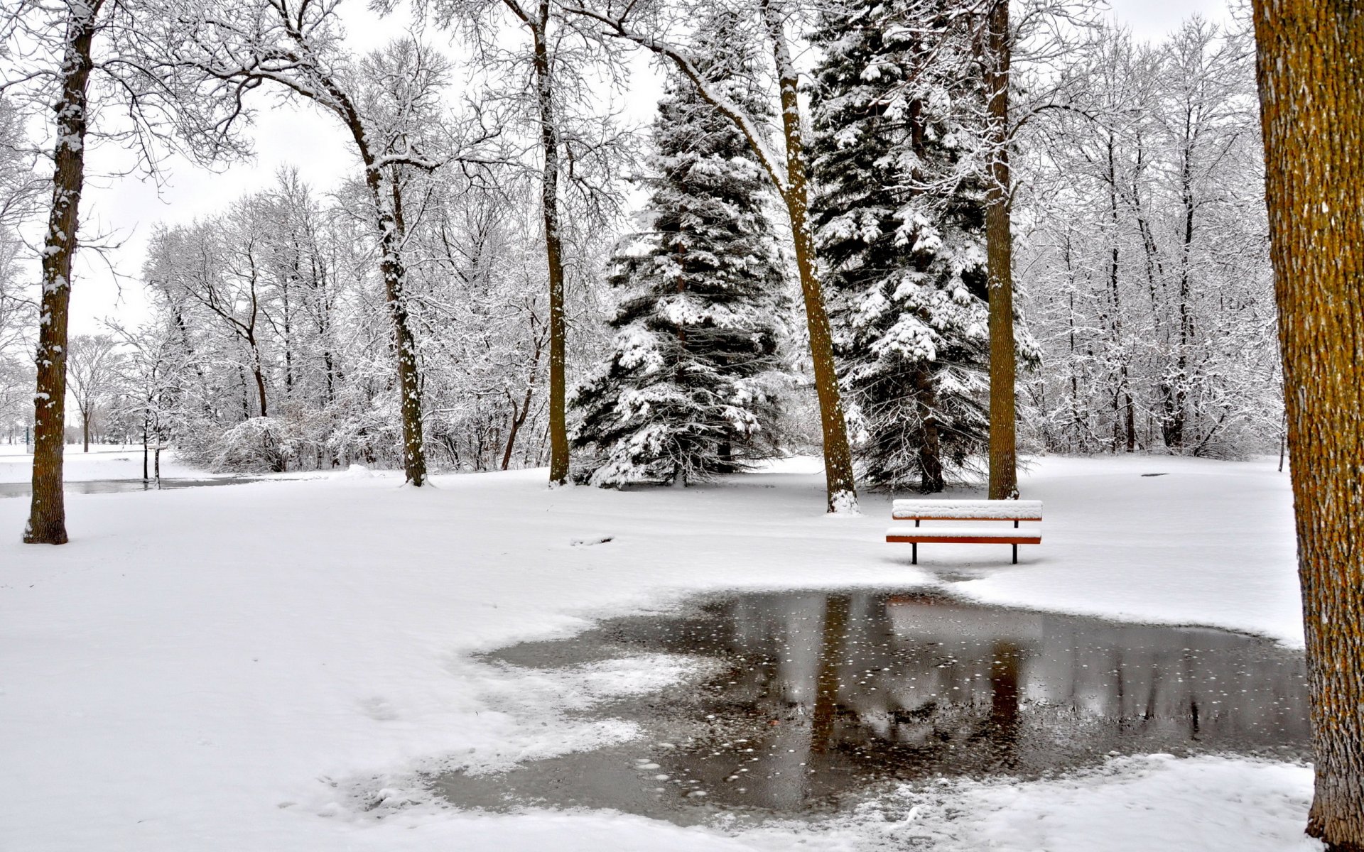 park zima krajobraz