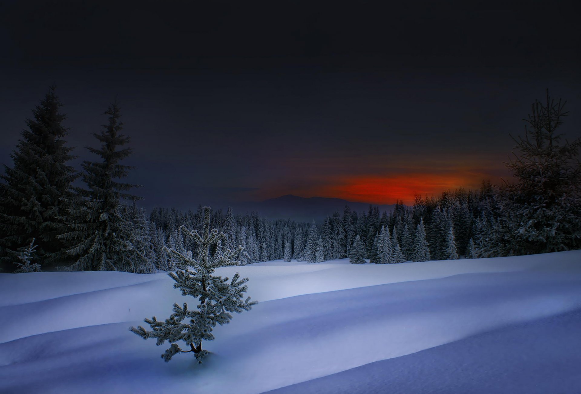 winter in rhodope winter sunset bulgaria rhodope