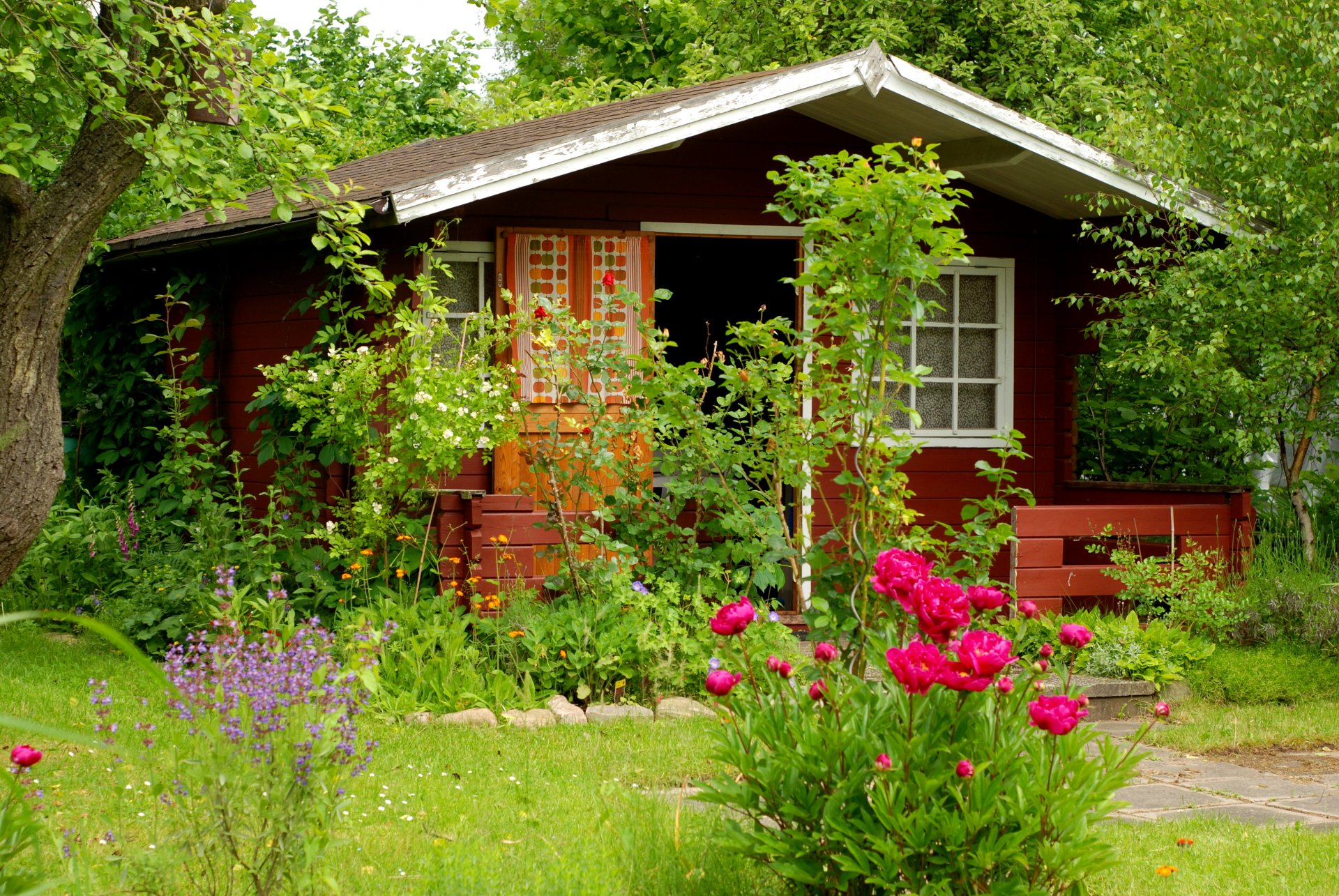 sommer ferienhaus garten bäume blumen