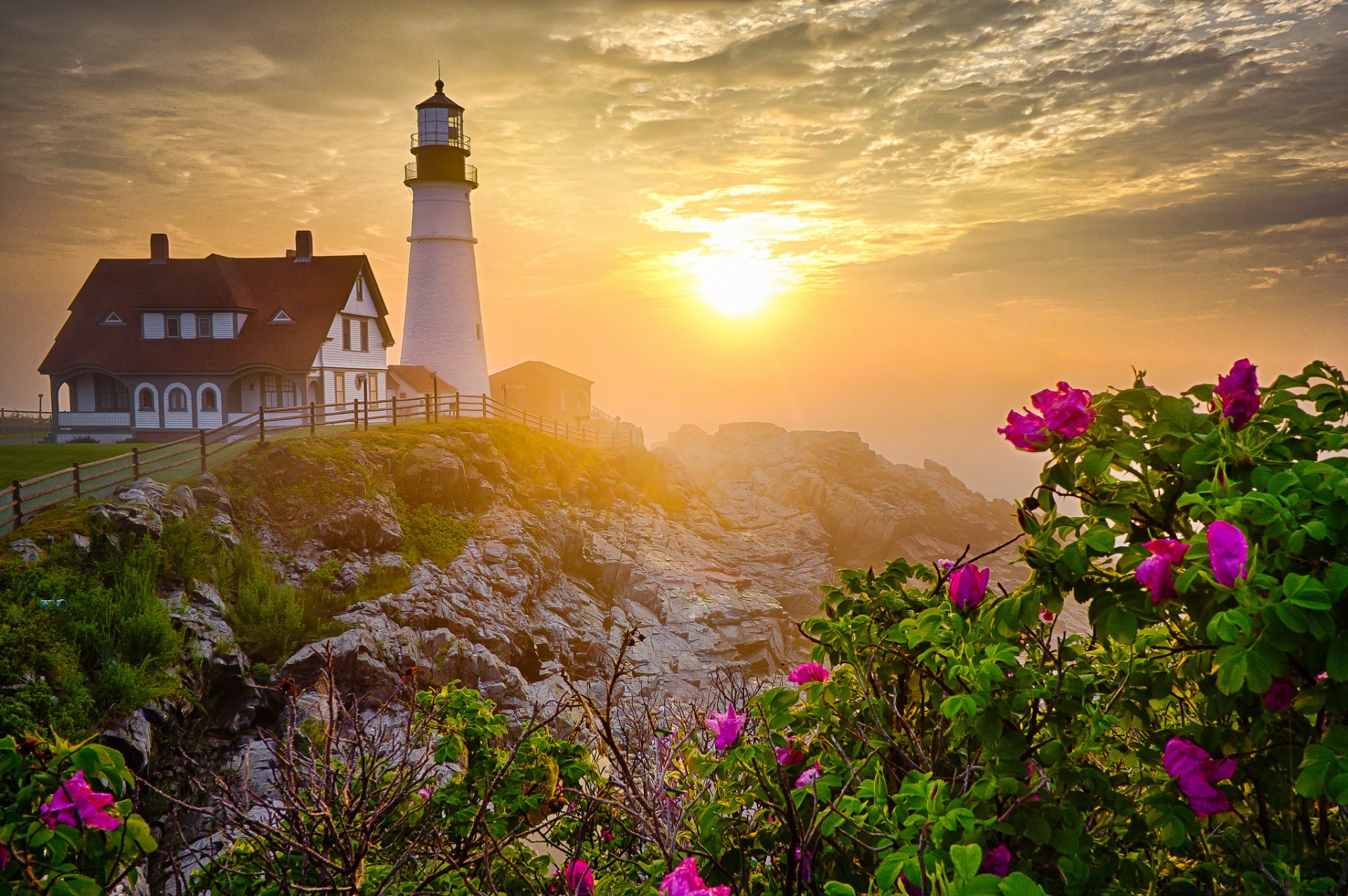 rocher phare matin fleurs roses