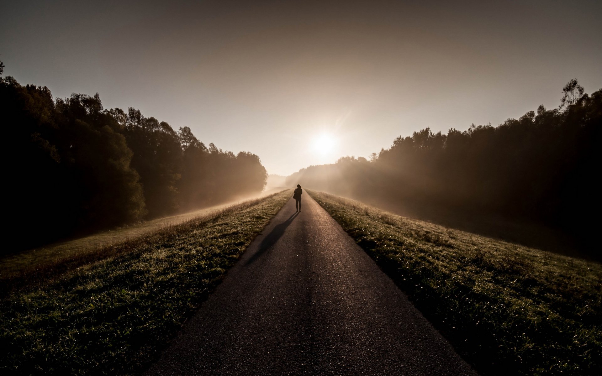 morning road man fog