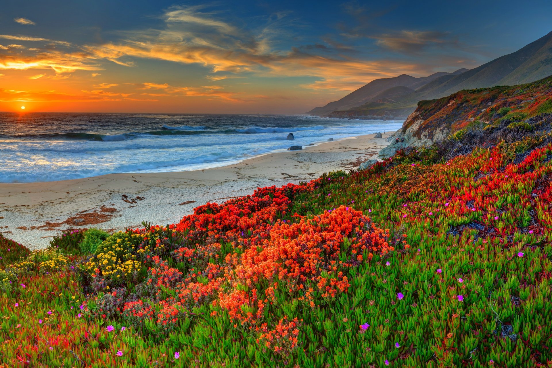 strand sonnenuntergang sonne himmel wolken sand natur landschaft wasser meer ozean blumen wolken