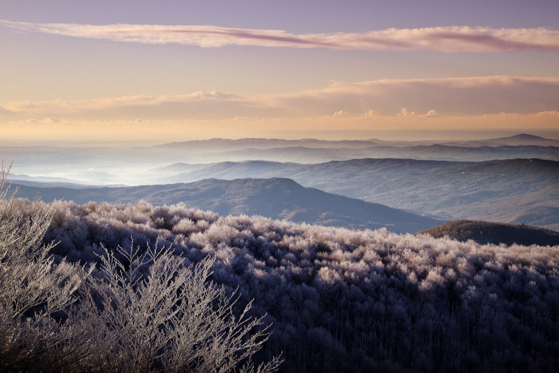 hügel täler wald frost morgen