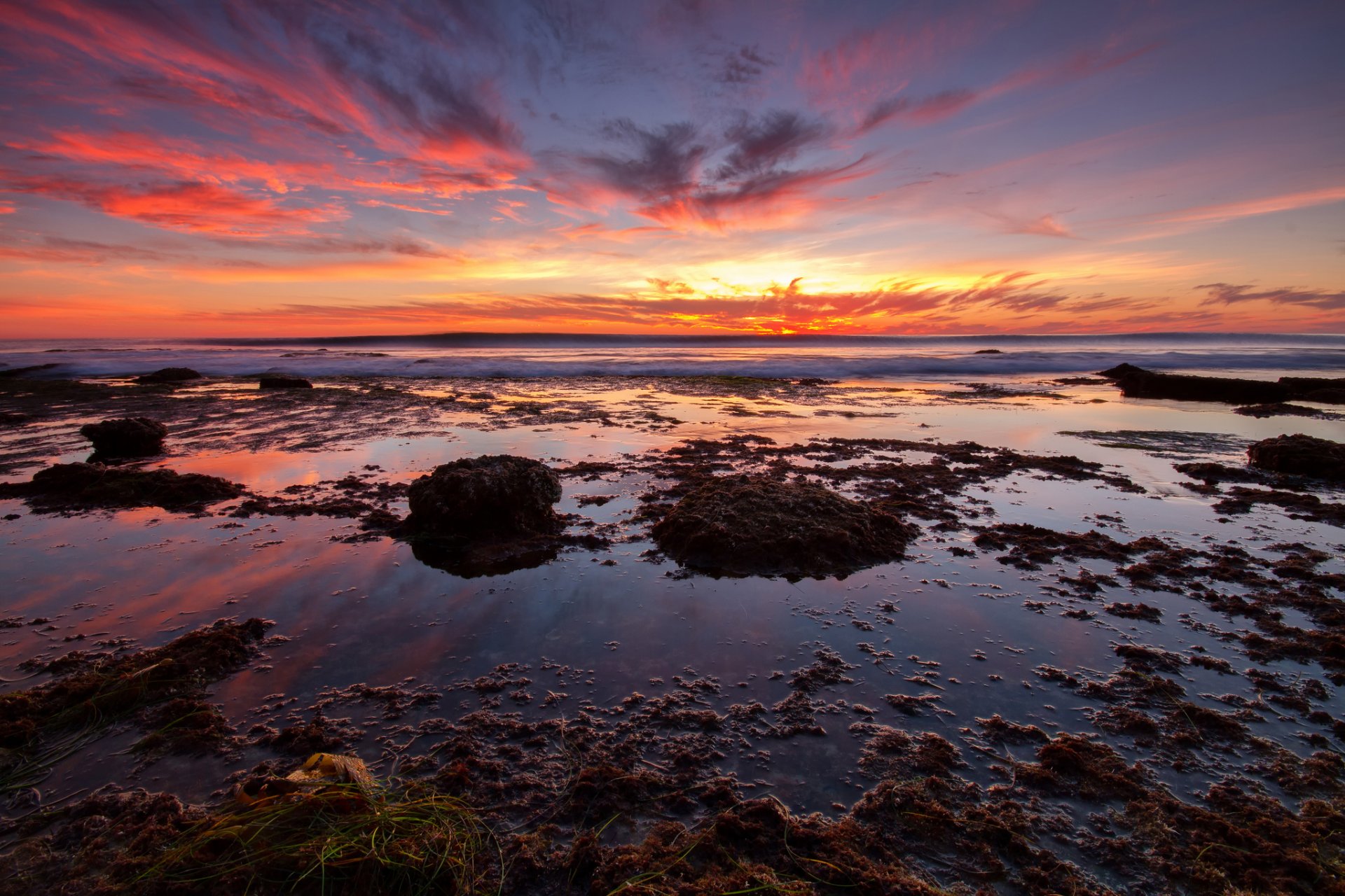 meer strand algen sonnenuntergang