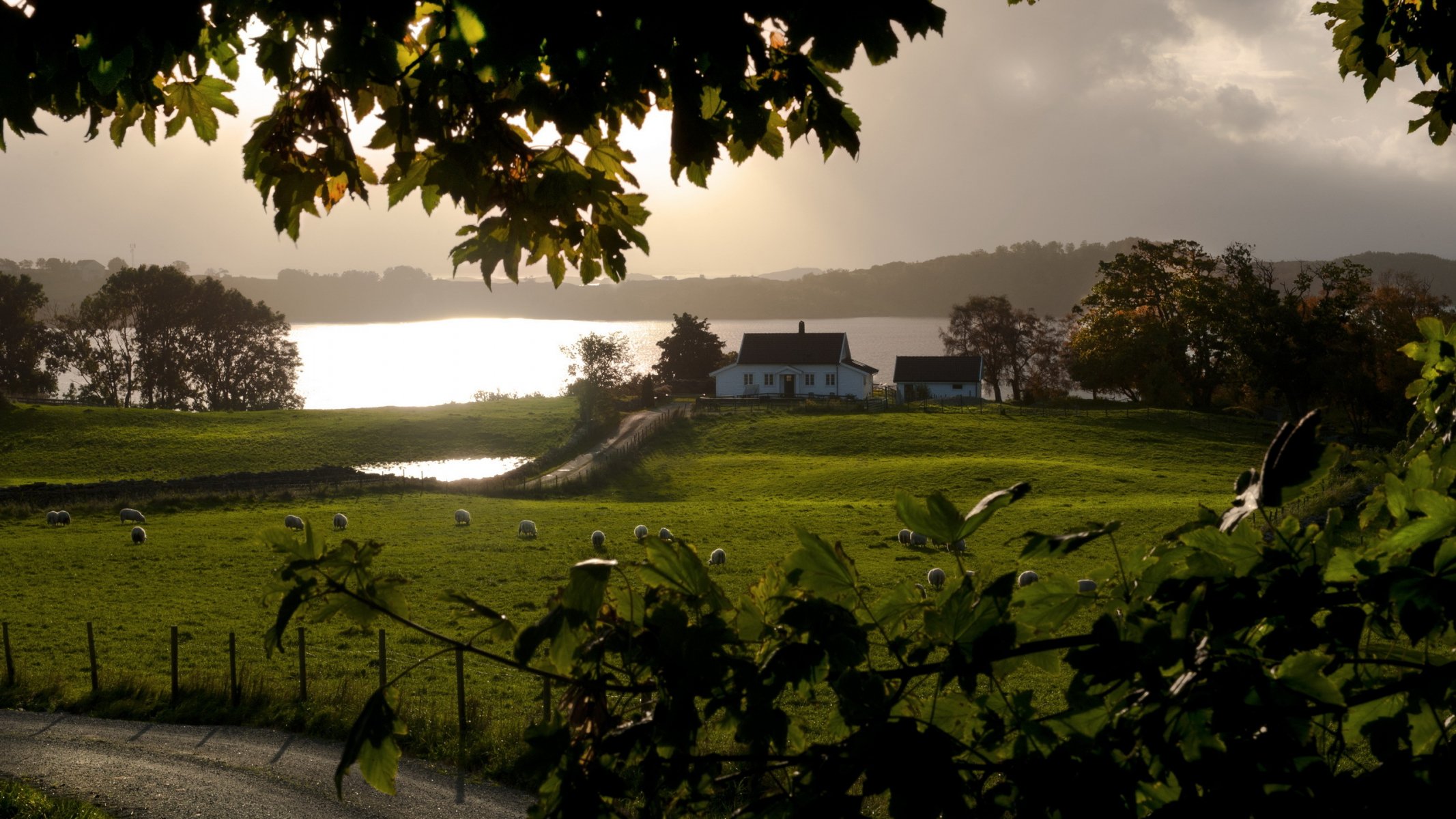 matin champ maison rivière route paysage