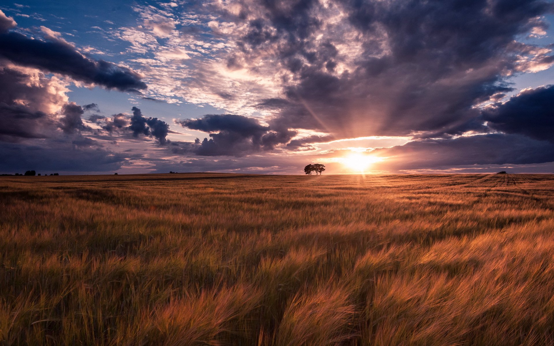 campo estate tramonto paesaggio