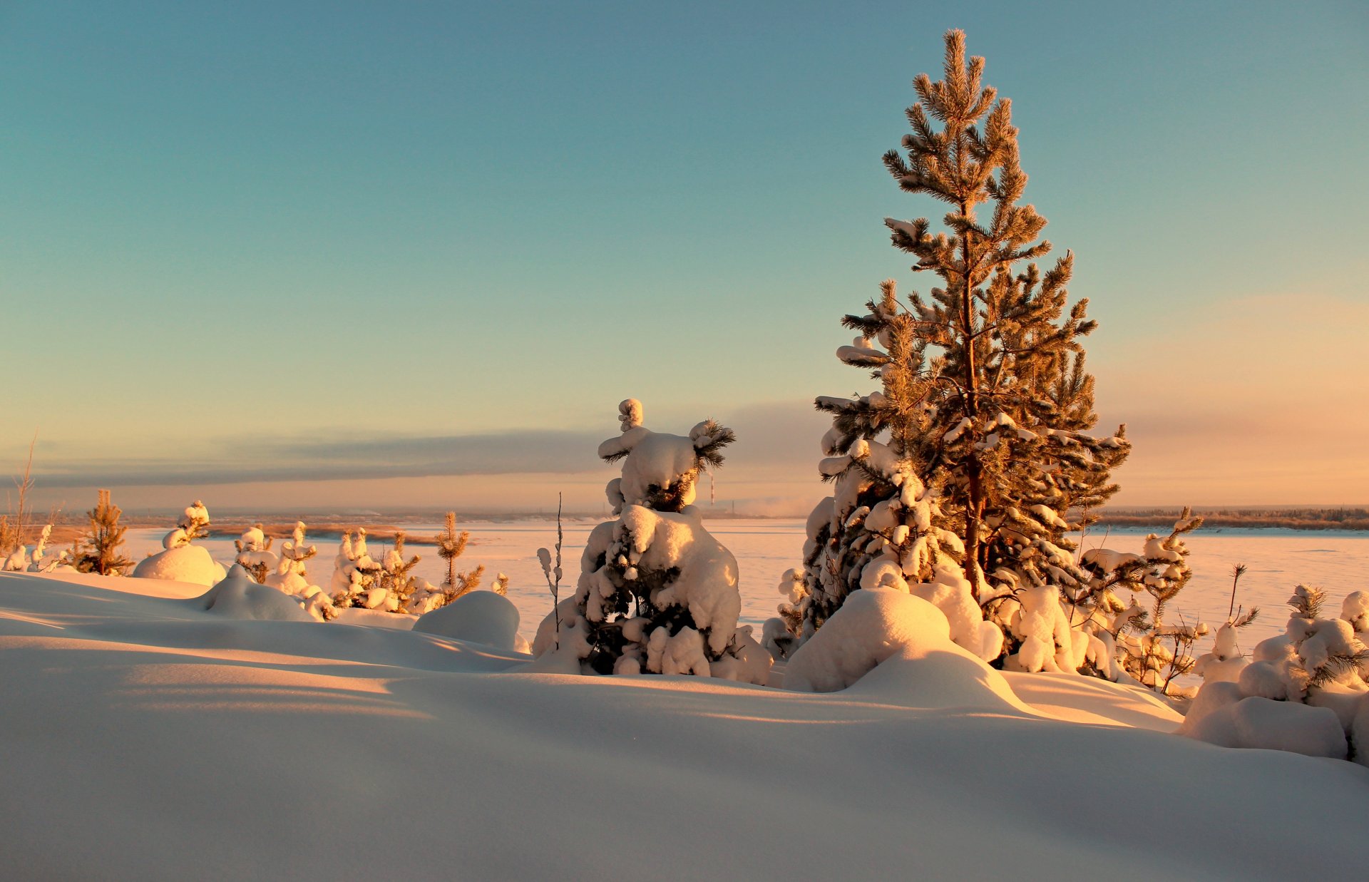 winter trees fir trees sunset landscape sun snow snowdrift